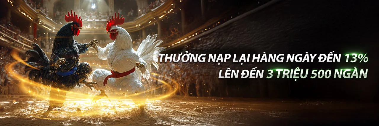 Đá Gà Trực Tiếp Hấp Dẫn tại BCX88